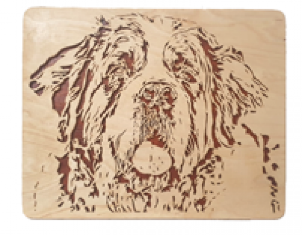 Wandbild Bernhardiner
